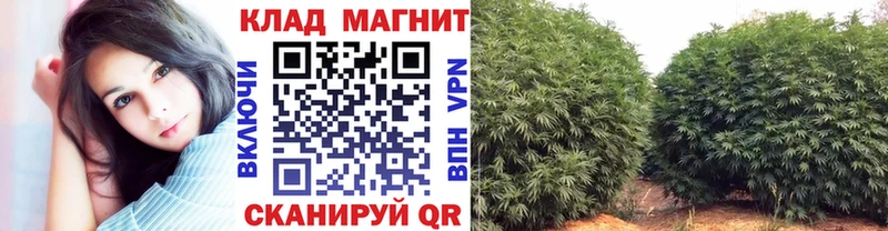 Названия наркотиков Кудымкар Галлюциногенные грибы Cocaine АМФ МЕФ ГАШ