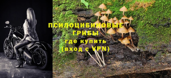 бутират Баксан